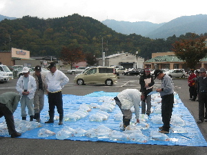 20081116 219-300.jpg